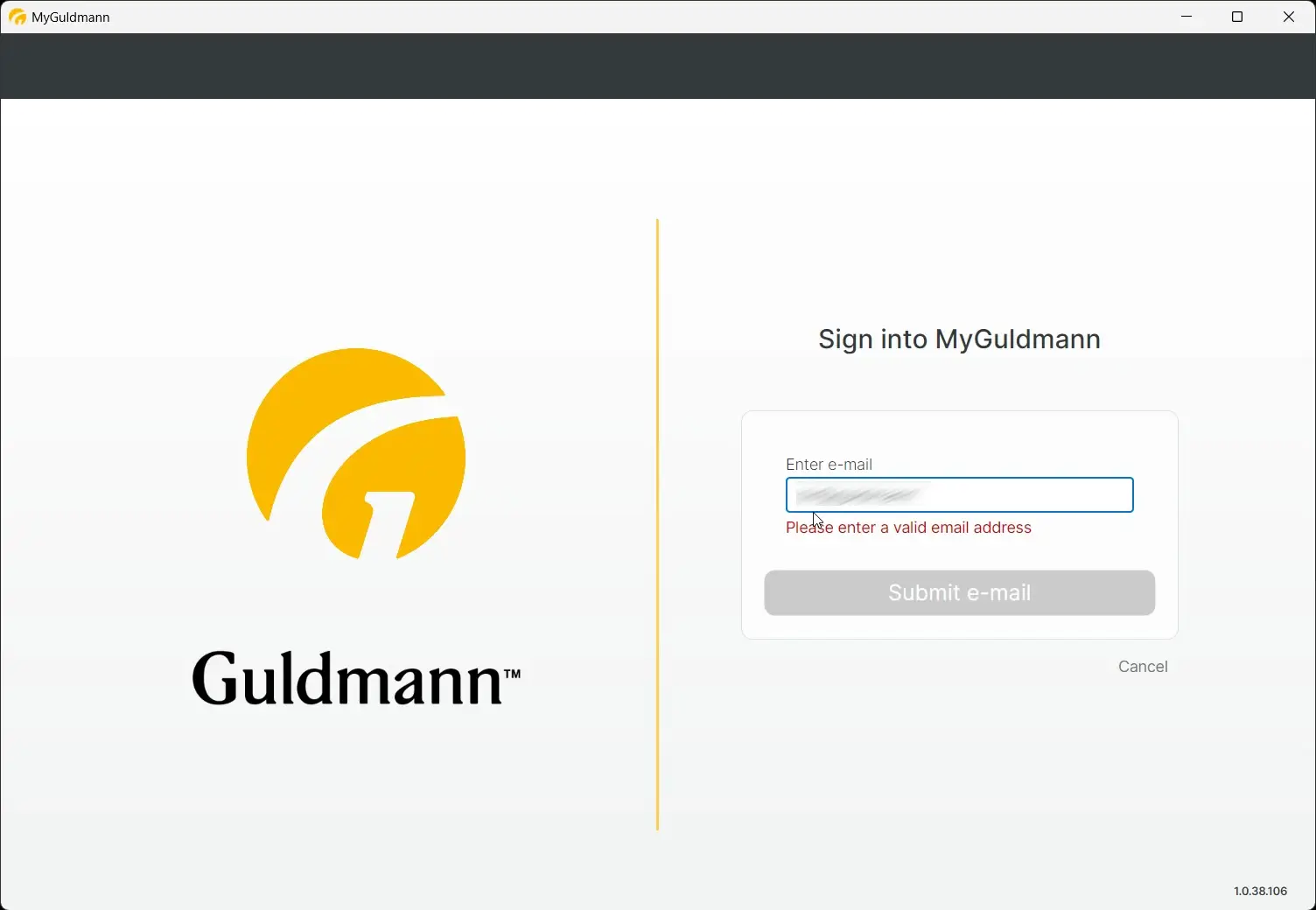 MyGuldmann login screen with email input error message.