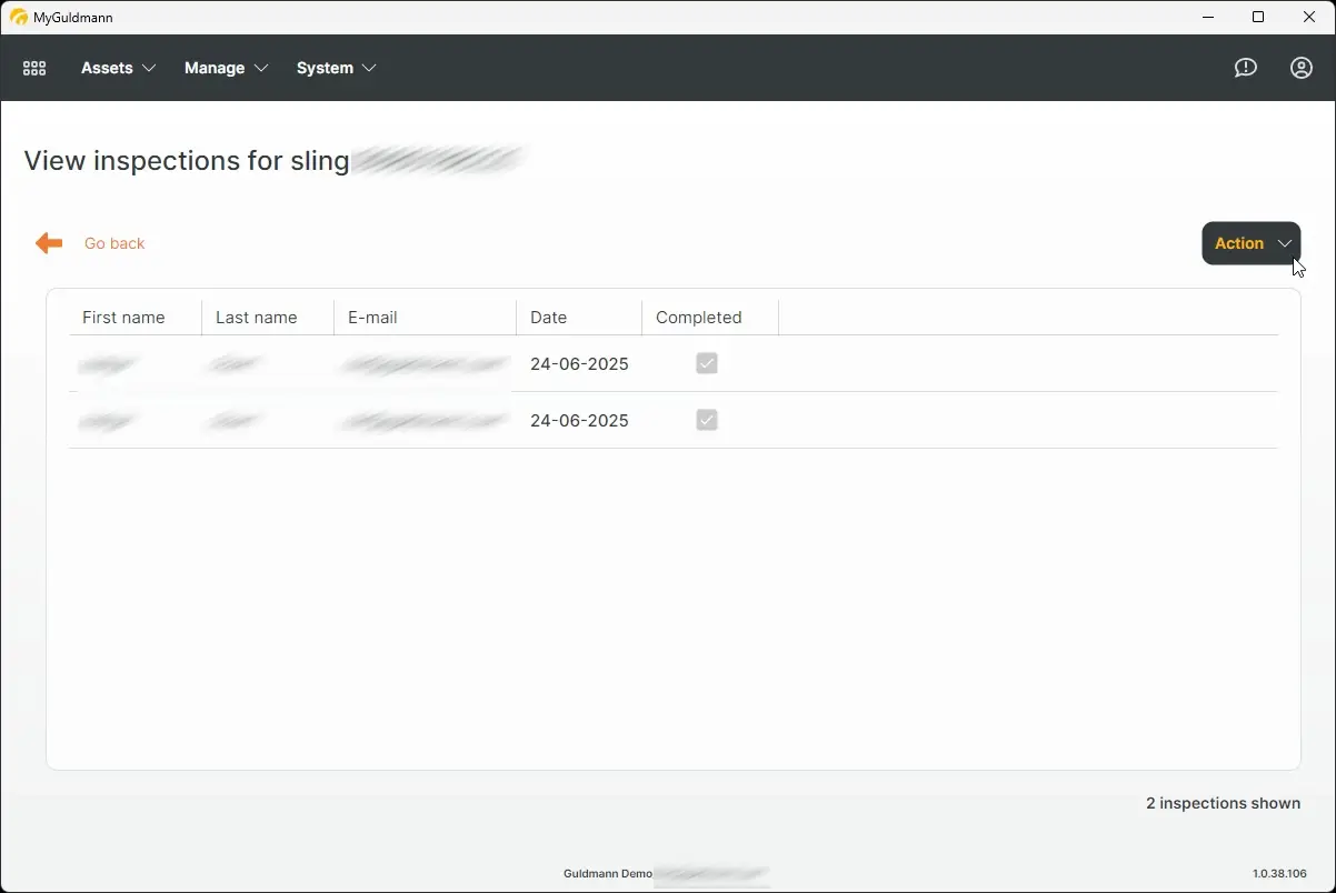 MyGuldmann - View inspections for sling page showing inspection details.